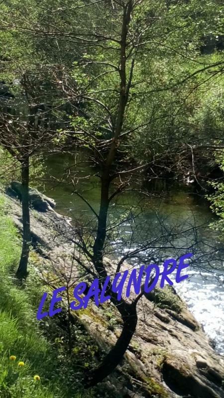 Gite Du Devez Des Bruyeres Prades  Buitenkant foto